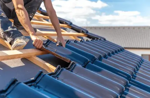 Couverture - Boisseuil