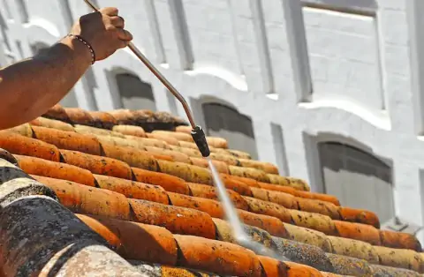 Nettoyage de toitures - Boisseuil